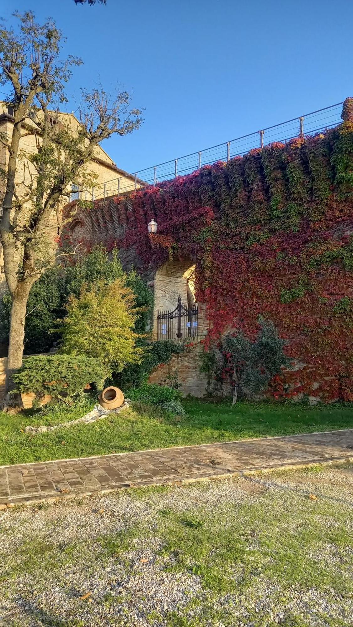 Novecento Bertinoro Exterior foto